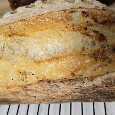 Garlic & Rosemary 