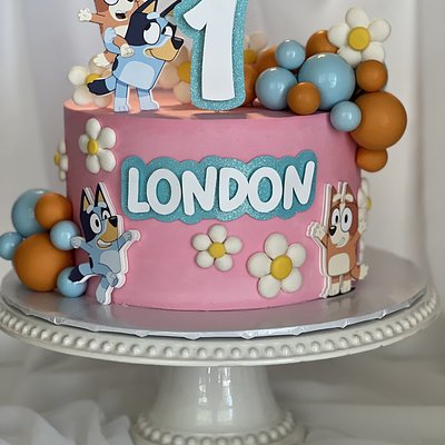 Pink/ Blue Bluey Cake 