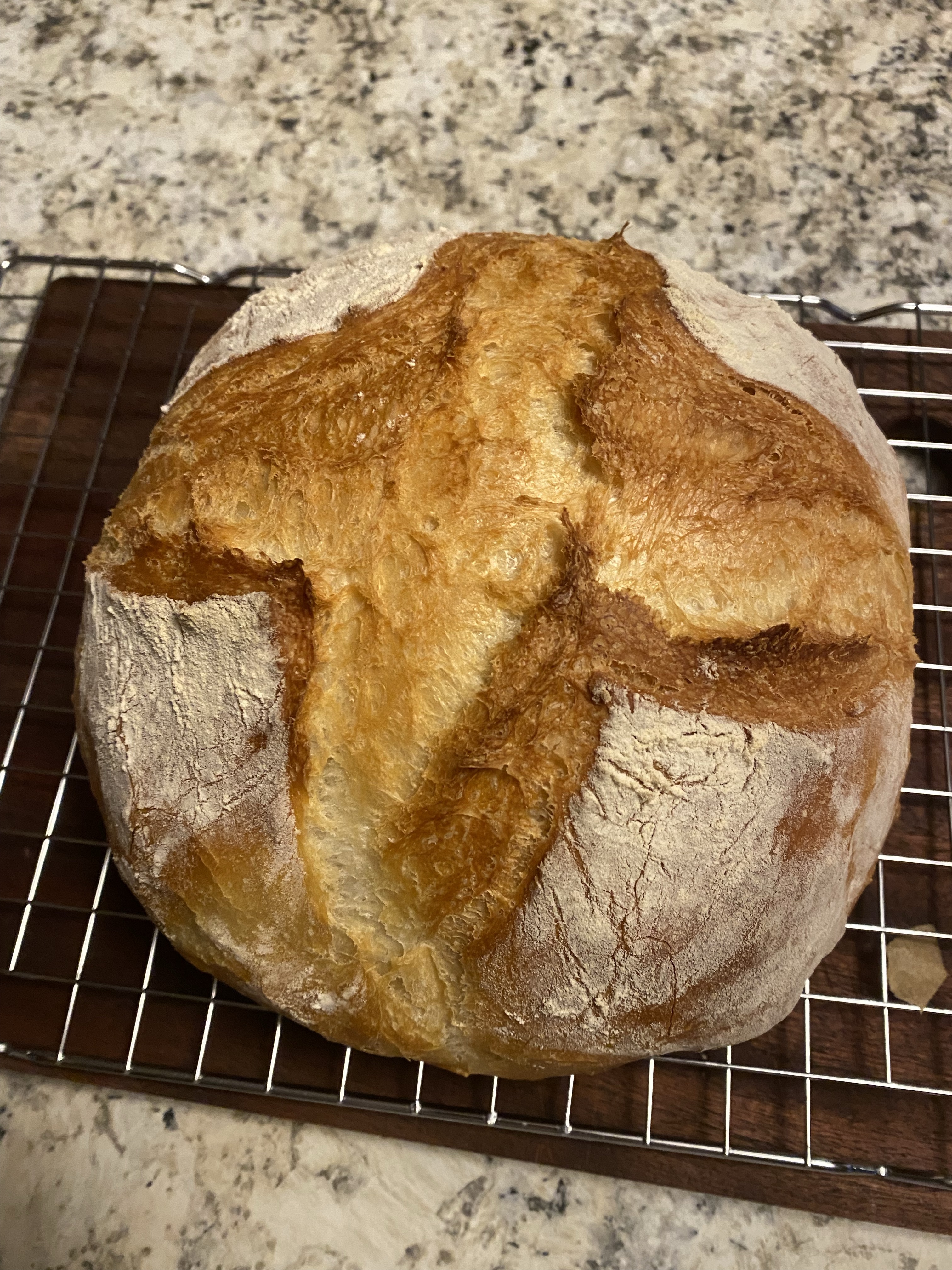 Plain Artisan Loaf