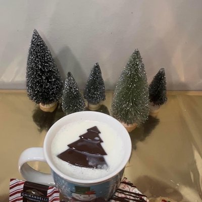 Hot Cocoa Bombs (Christmas Themed)