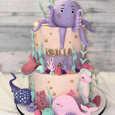 Cakes 