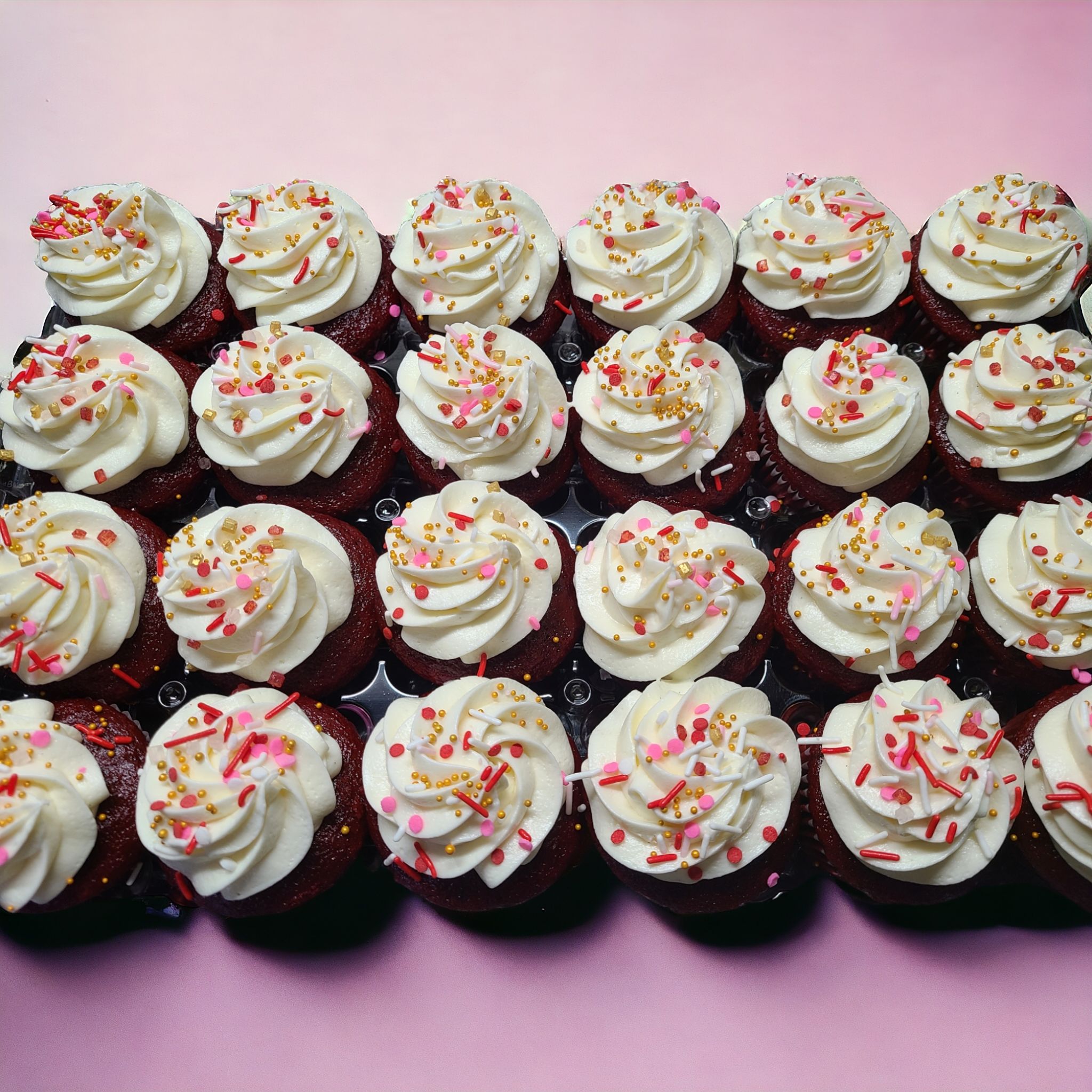 6ct Cupcakes