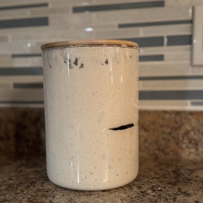 Sourdough Starter