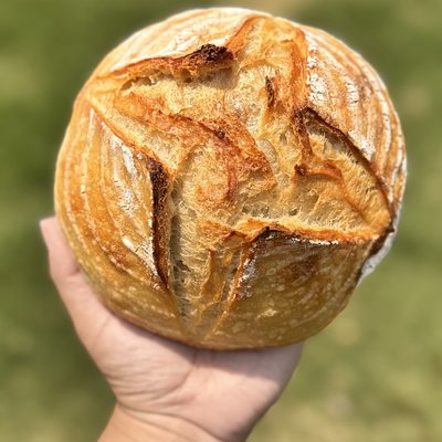 Sourdough Bread Bowls