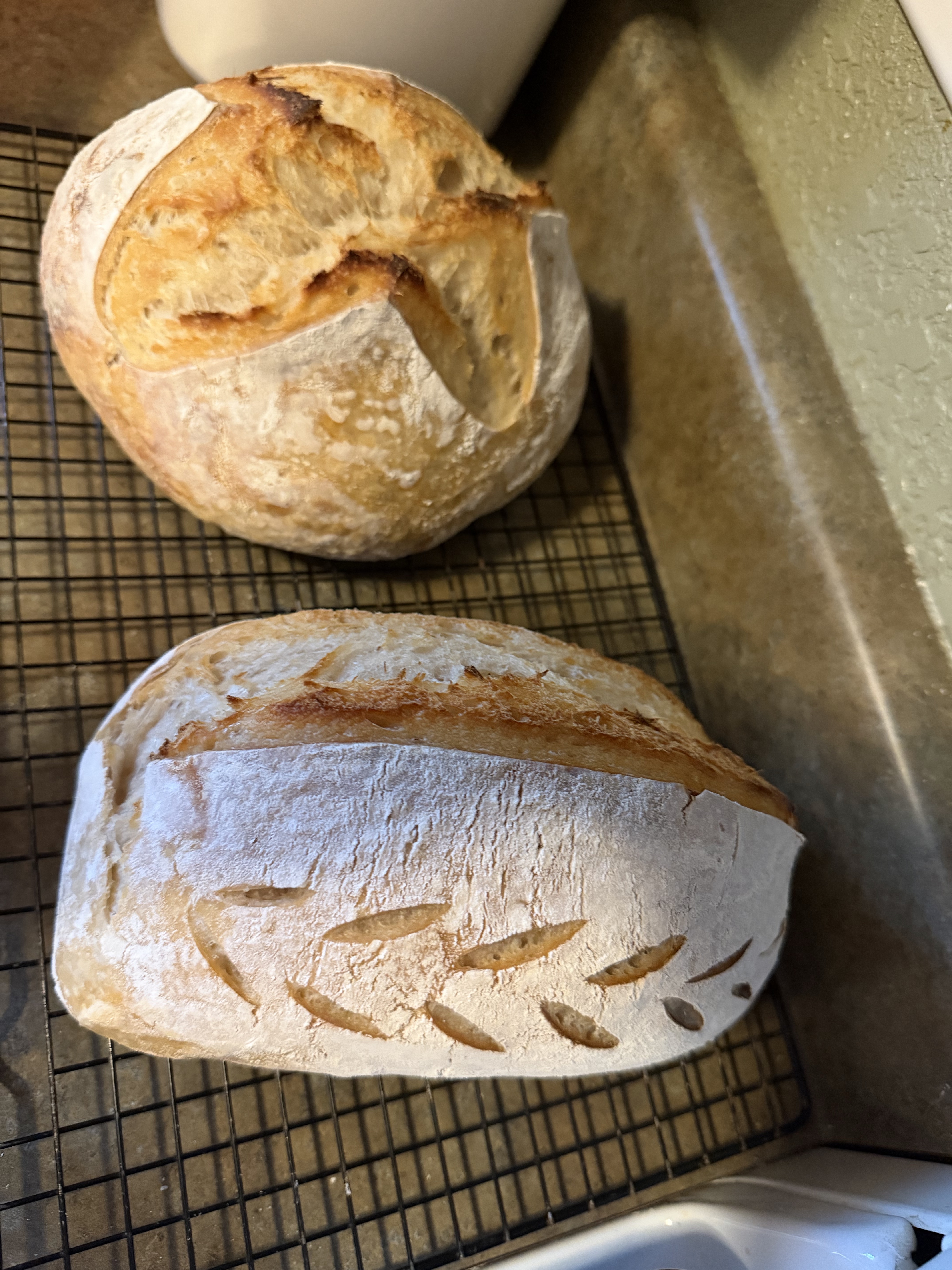 Regular Loaf
