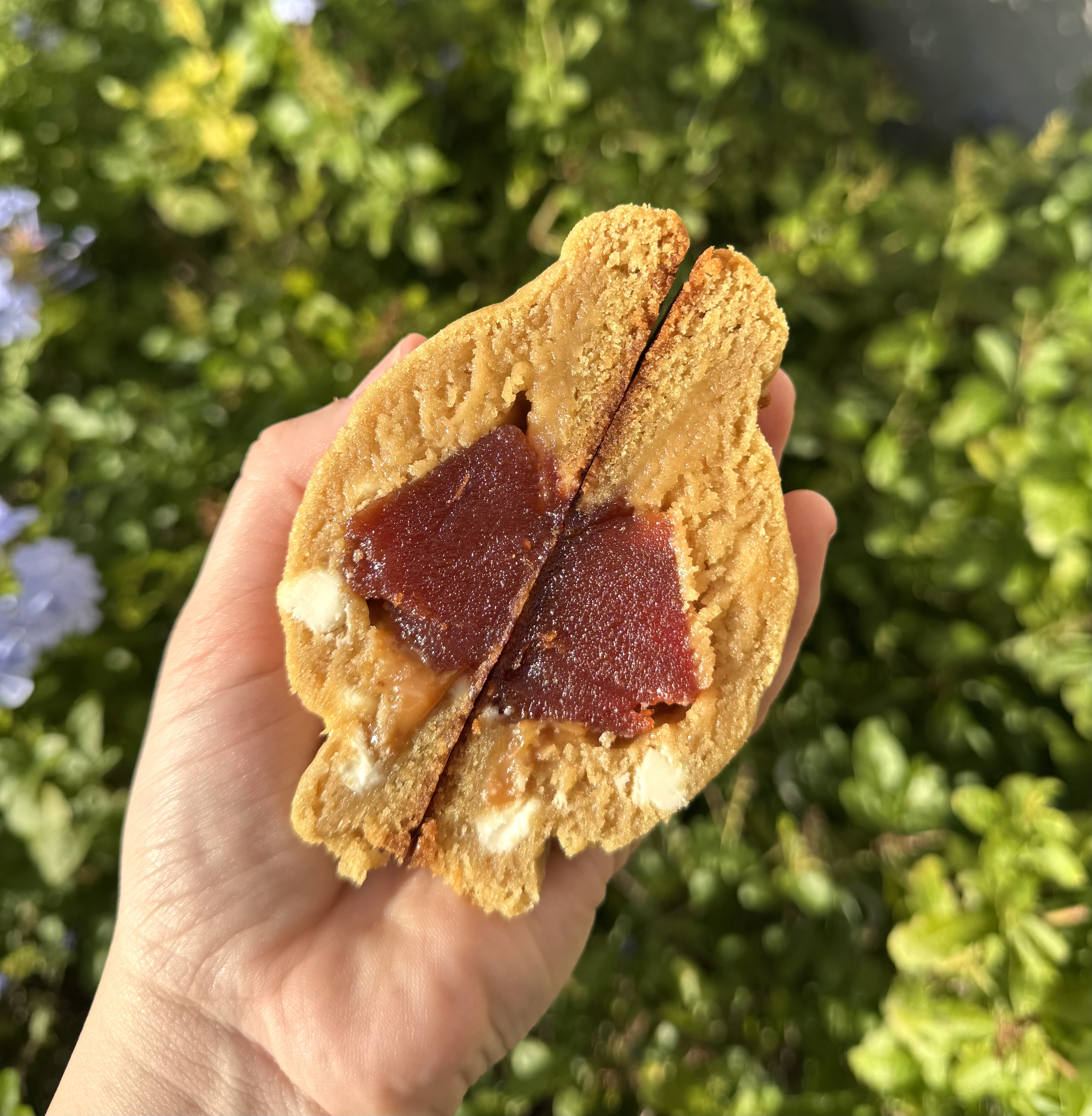 Guava Dulce de Leche Cookie