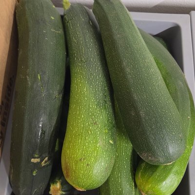Zucchini 