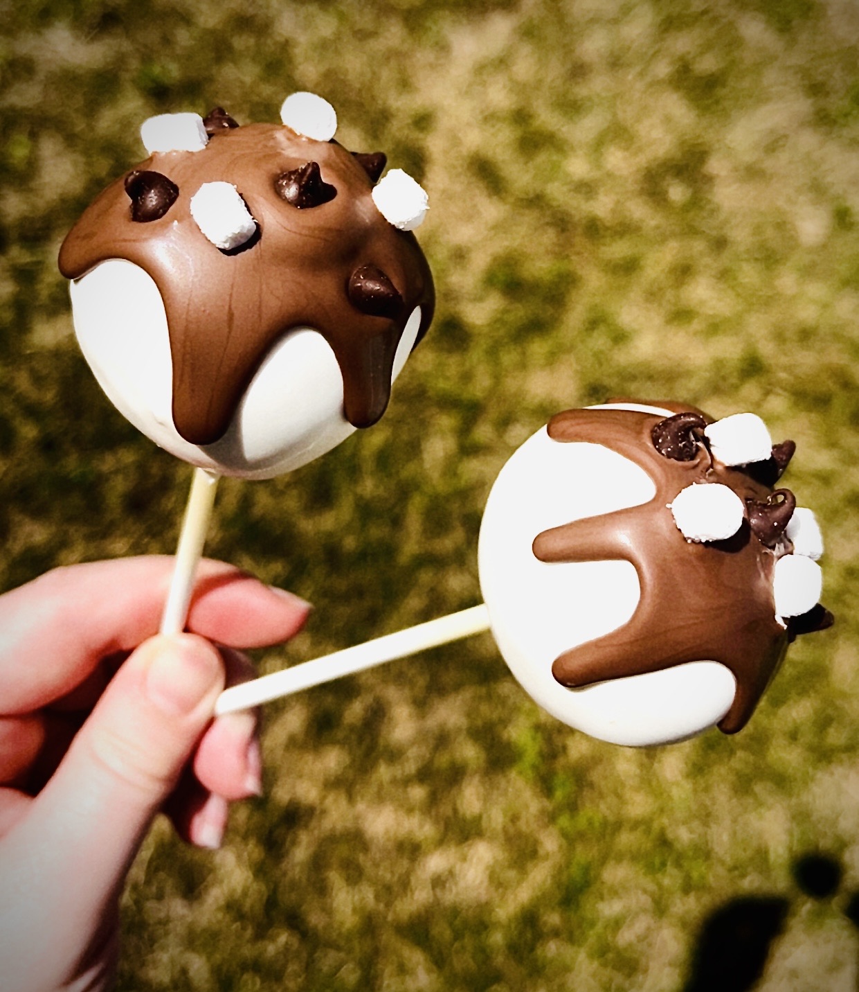 S’mores