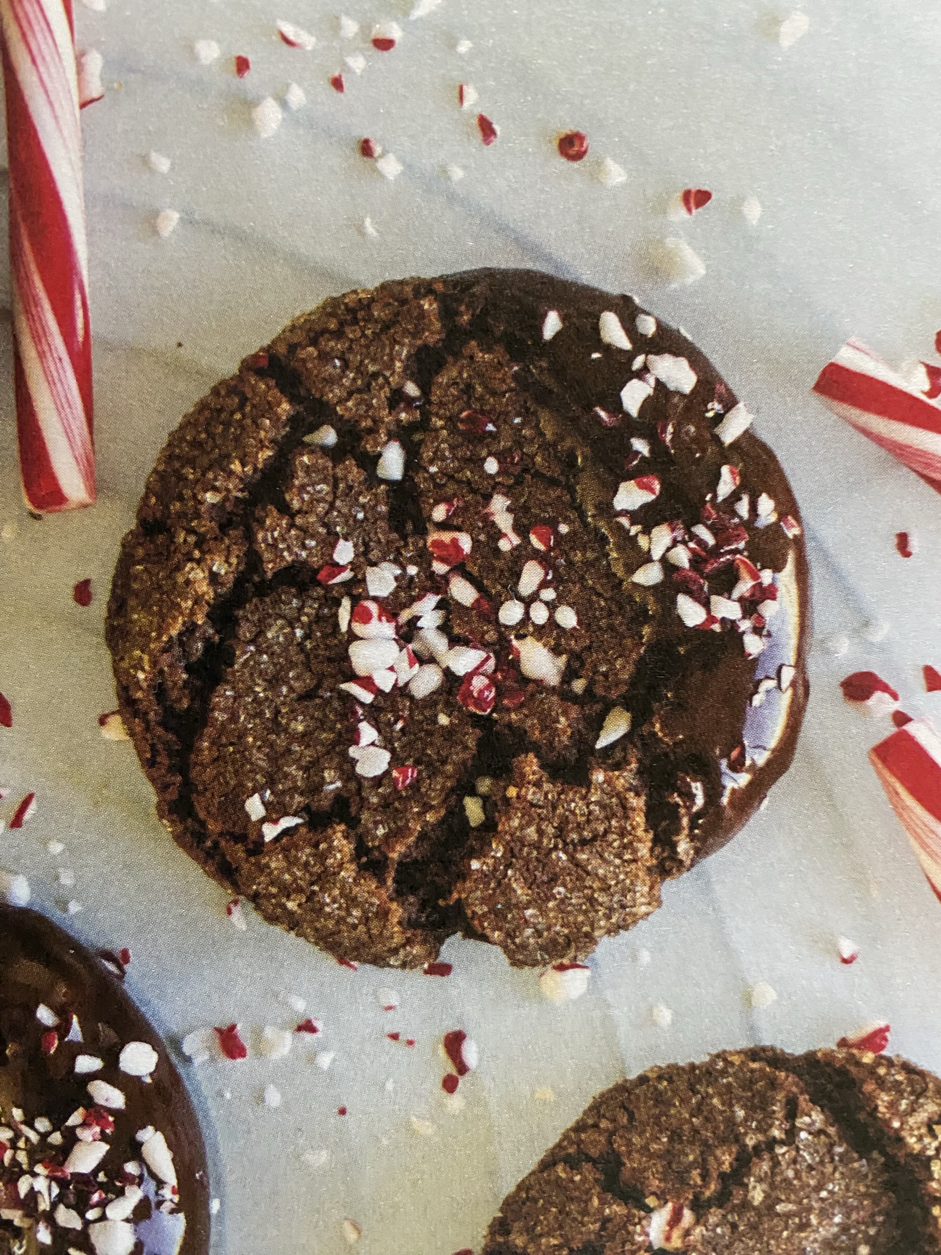 Double Chocolate Peppermint Sugar Cookies 