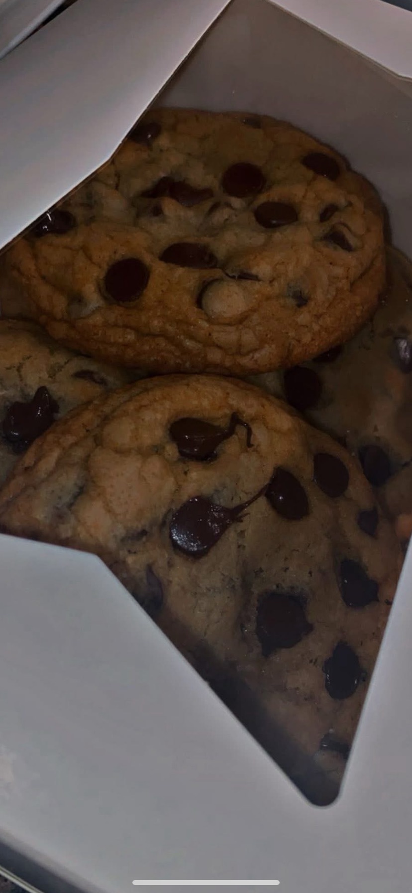 Chocolate Chip