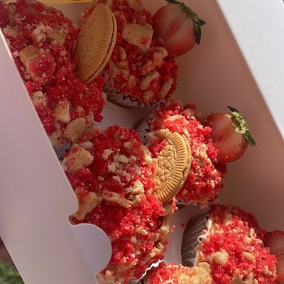 Half Dozen (6) Specialty 