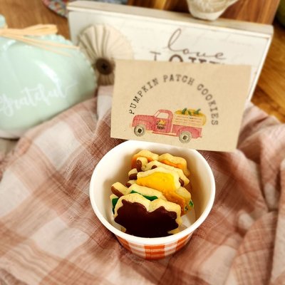 Fall MINI Pumpkin Patch Cookie Pack (6 Cookies)