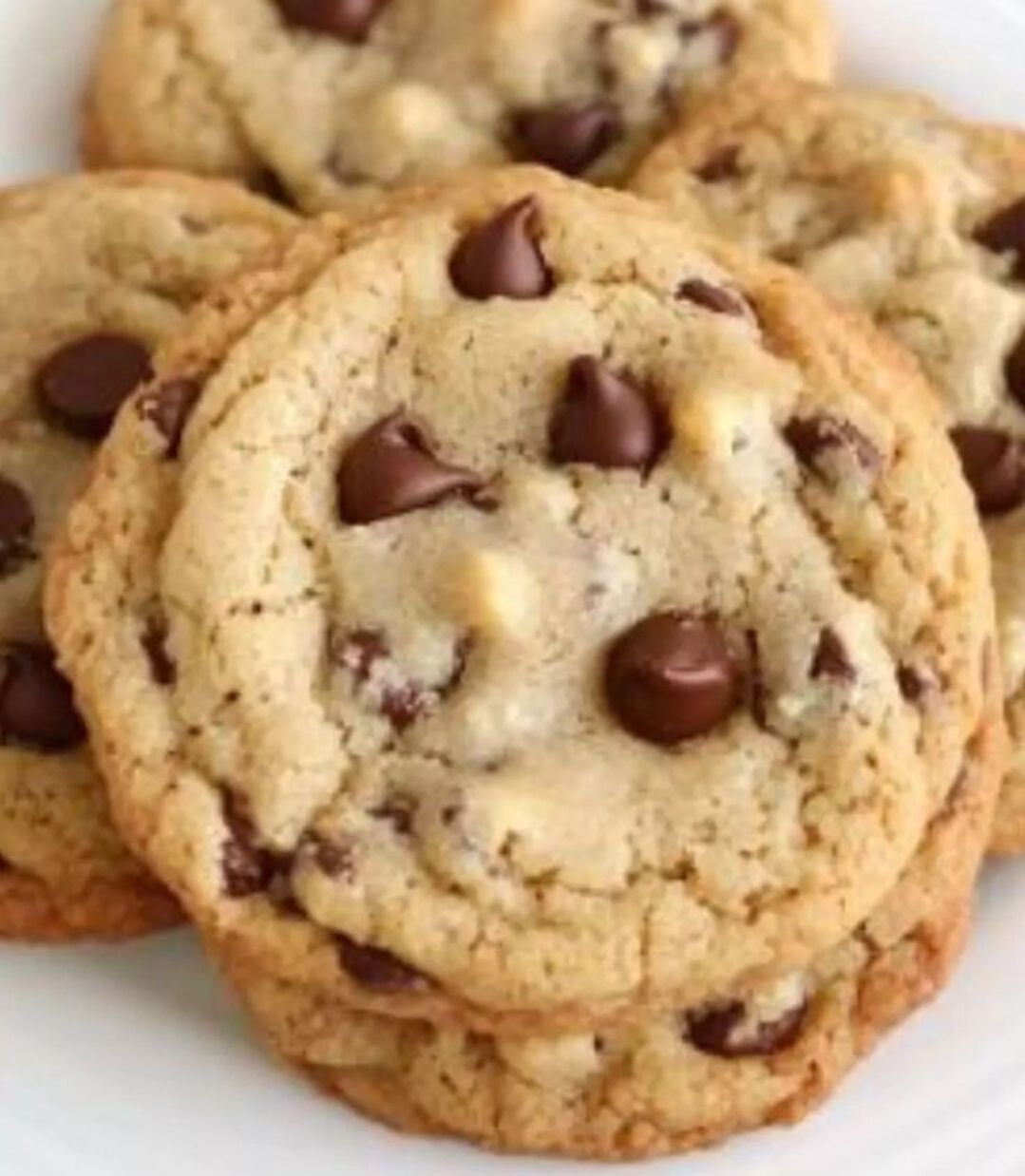 Chocolate Chip