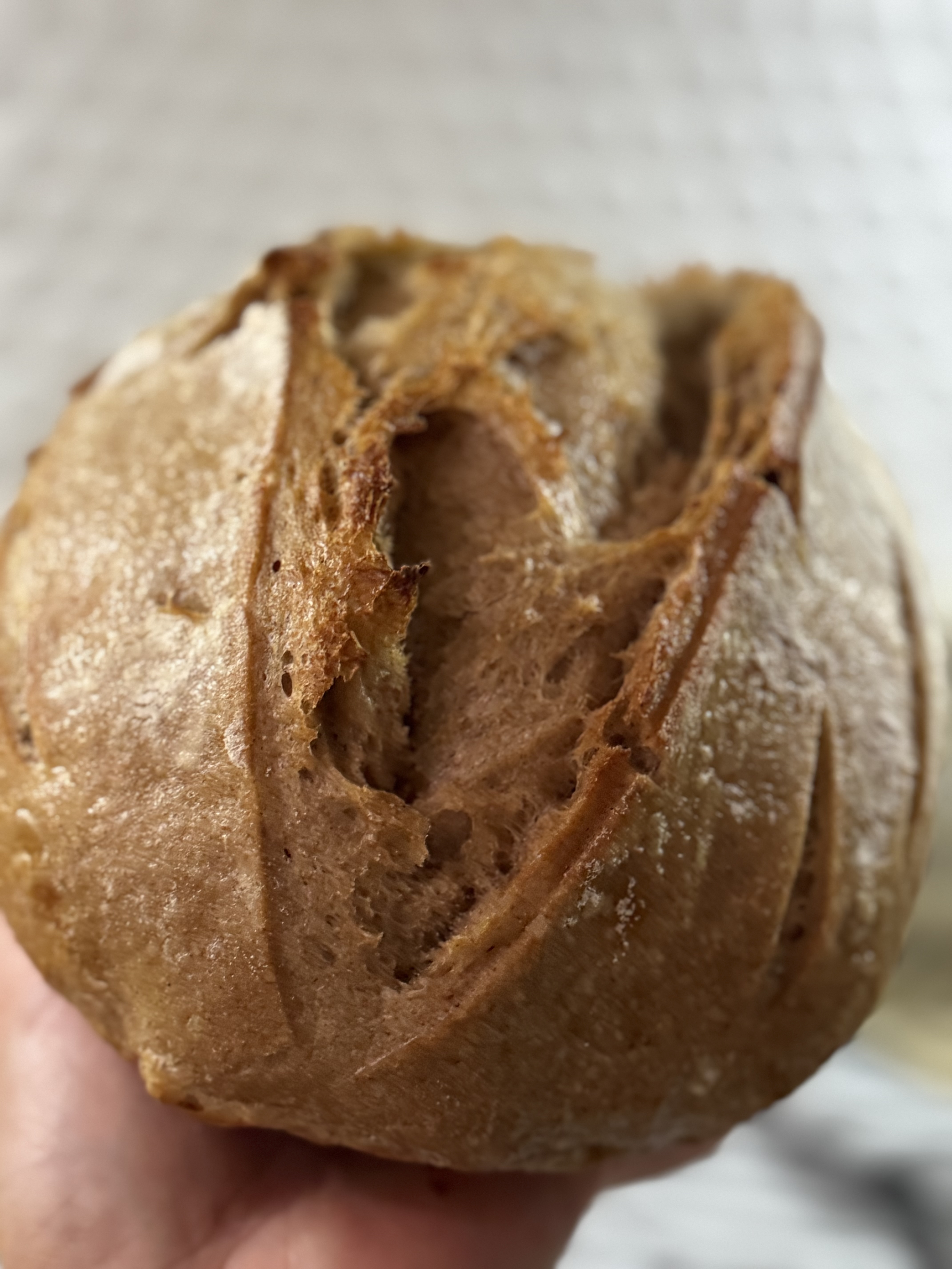 Country Sourdough 