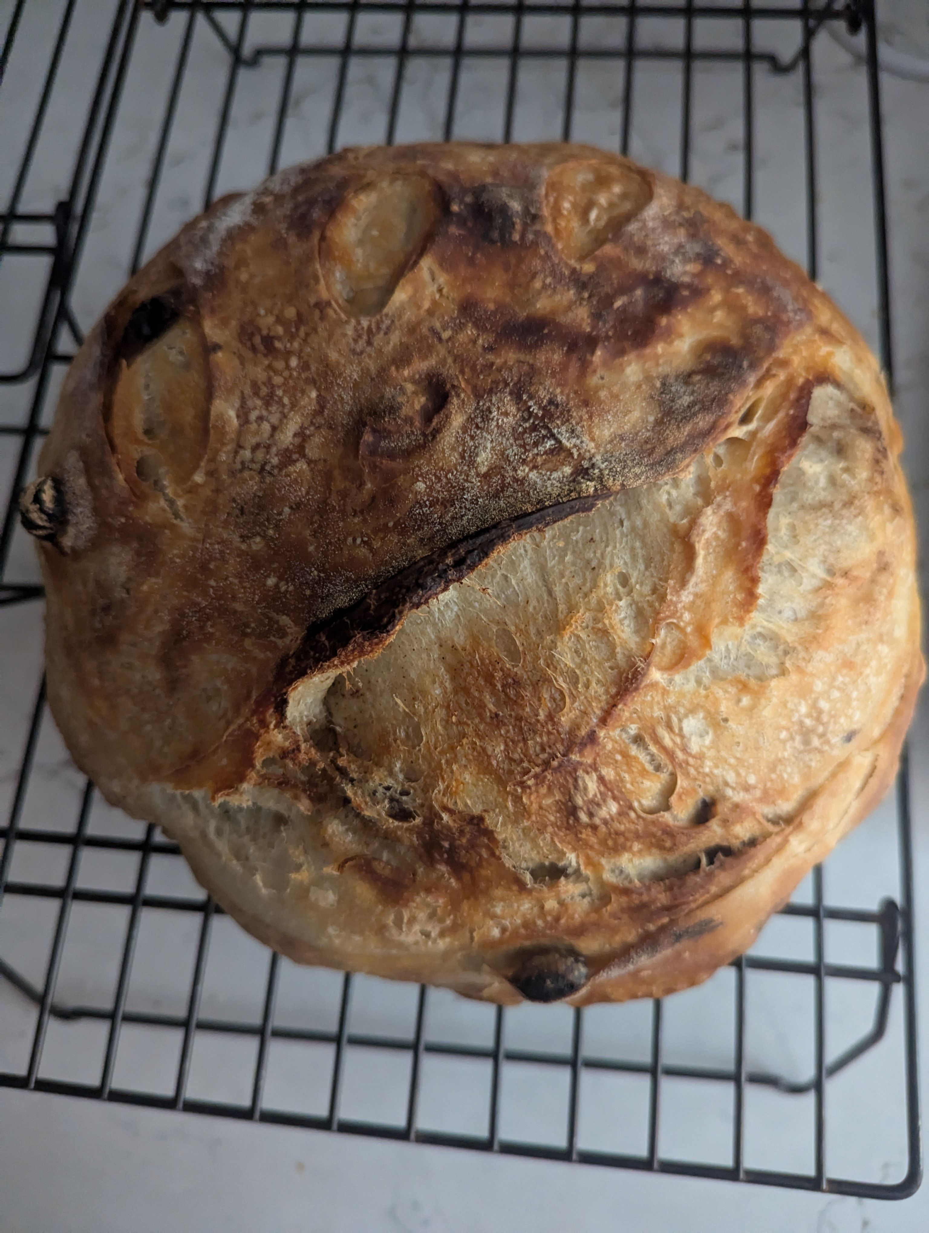 Cinnamon Raisin Sourdough Boule 