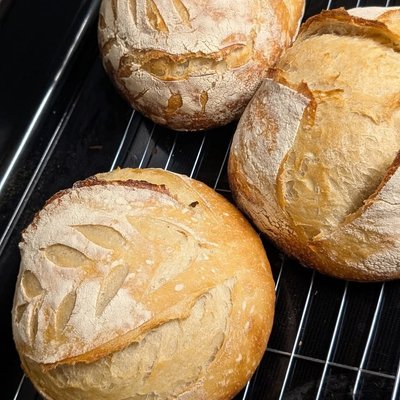 Sourdough Loaf
