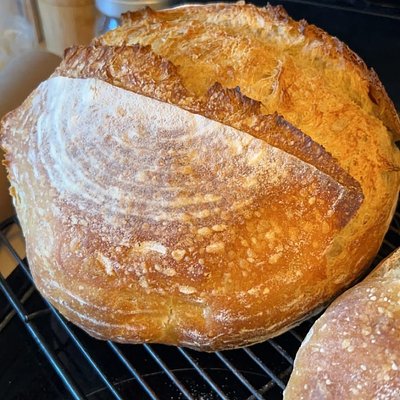 Whole Wheat Sourdough 