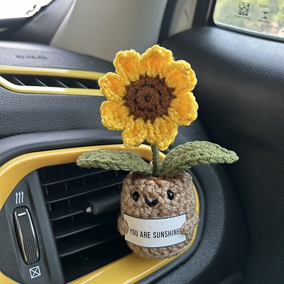 Car Buddies 