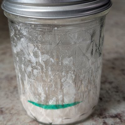 Dehydrated Sourdough Starter kit