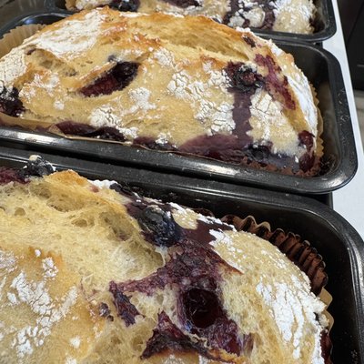 Lemon Blueberry Artisan Loaf