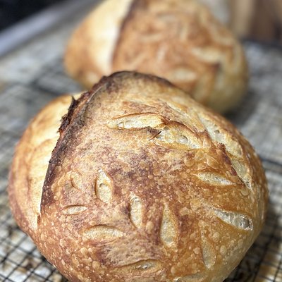 Plain Sourdough Boule
