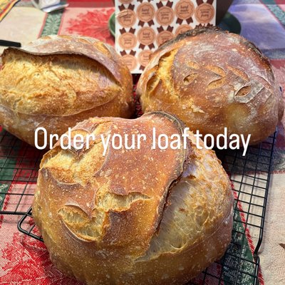 Sourdough Boule with Whole Wheat