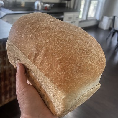 Sourdough Sandwich Loaf