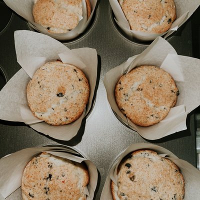 Blueberry Muffins