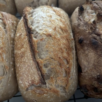 Organic Sourdough White Bread