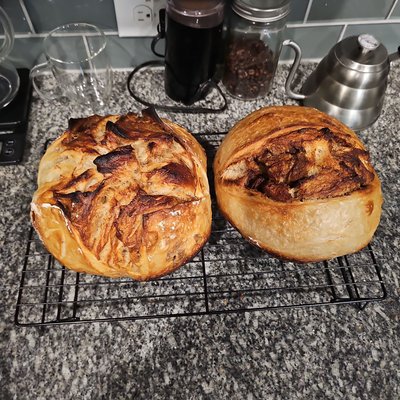 Cinnamon & Raisin SOURDOUGH BREAD (100% Gluten-Free)