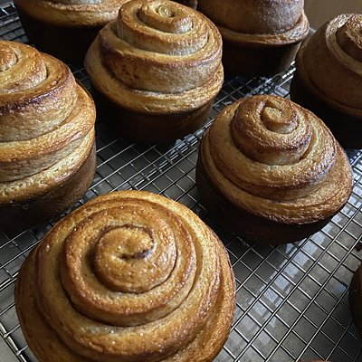 Brioche Chocolate Chip Rolls