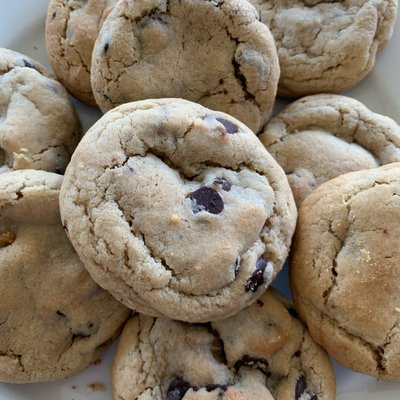 Chocolate Chip