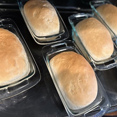 Amish White Bread