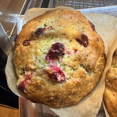 Cranberry Orange Muffin