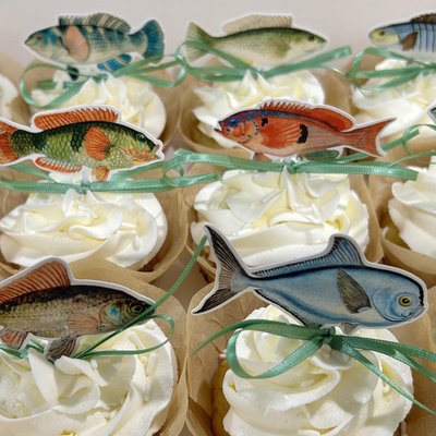 Cupcakes