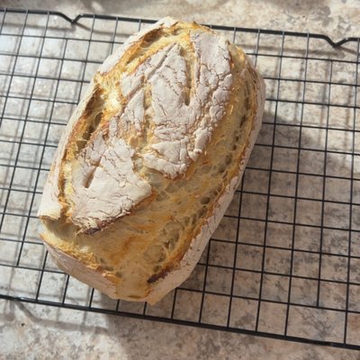 Sourdough 