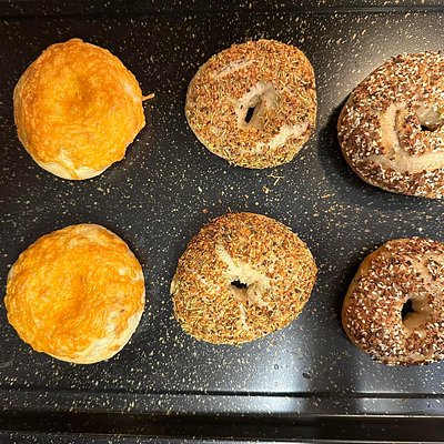 Sourdough Bagels
