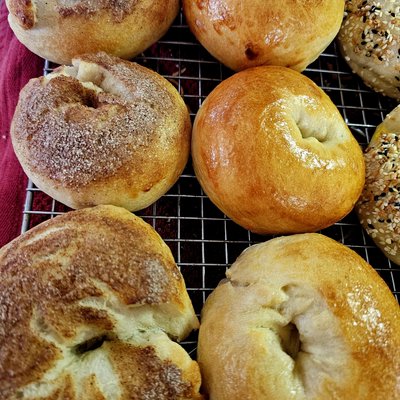 Sourdough Bagels 1/2 Dozen (6) Flavored