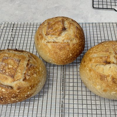Classic Sourdough Bread Bowls (4 Small Rounds)