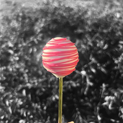 Decorated Cake Pops (Dozen)