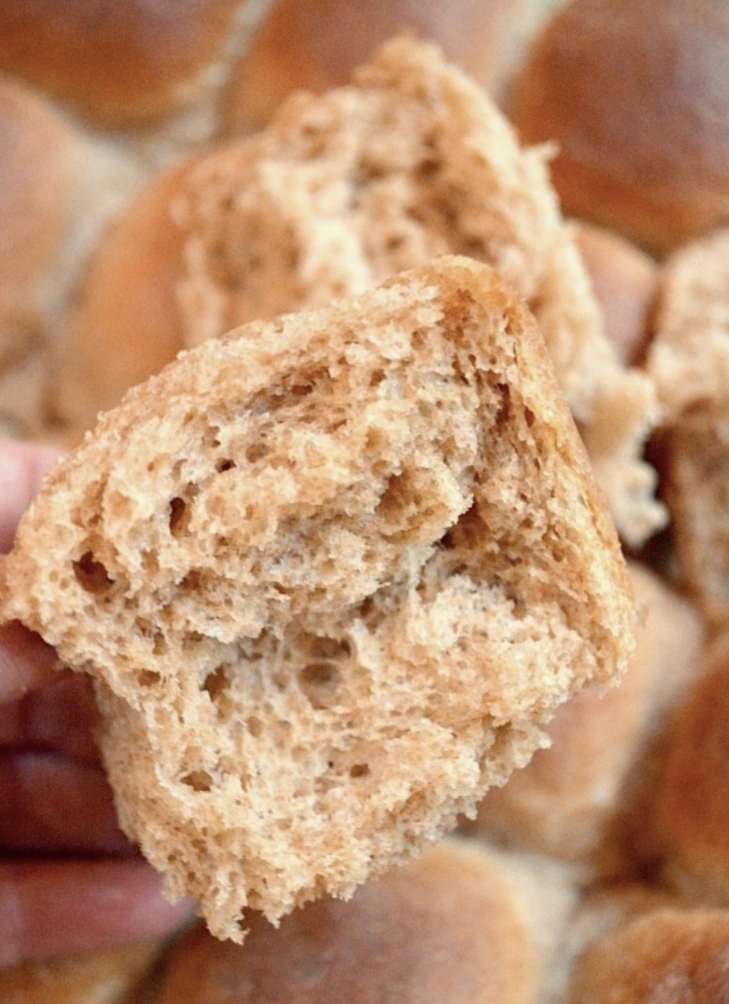 Dinner rolls