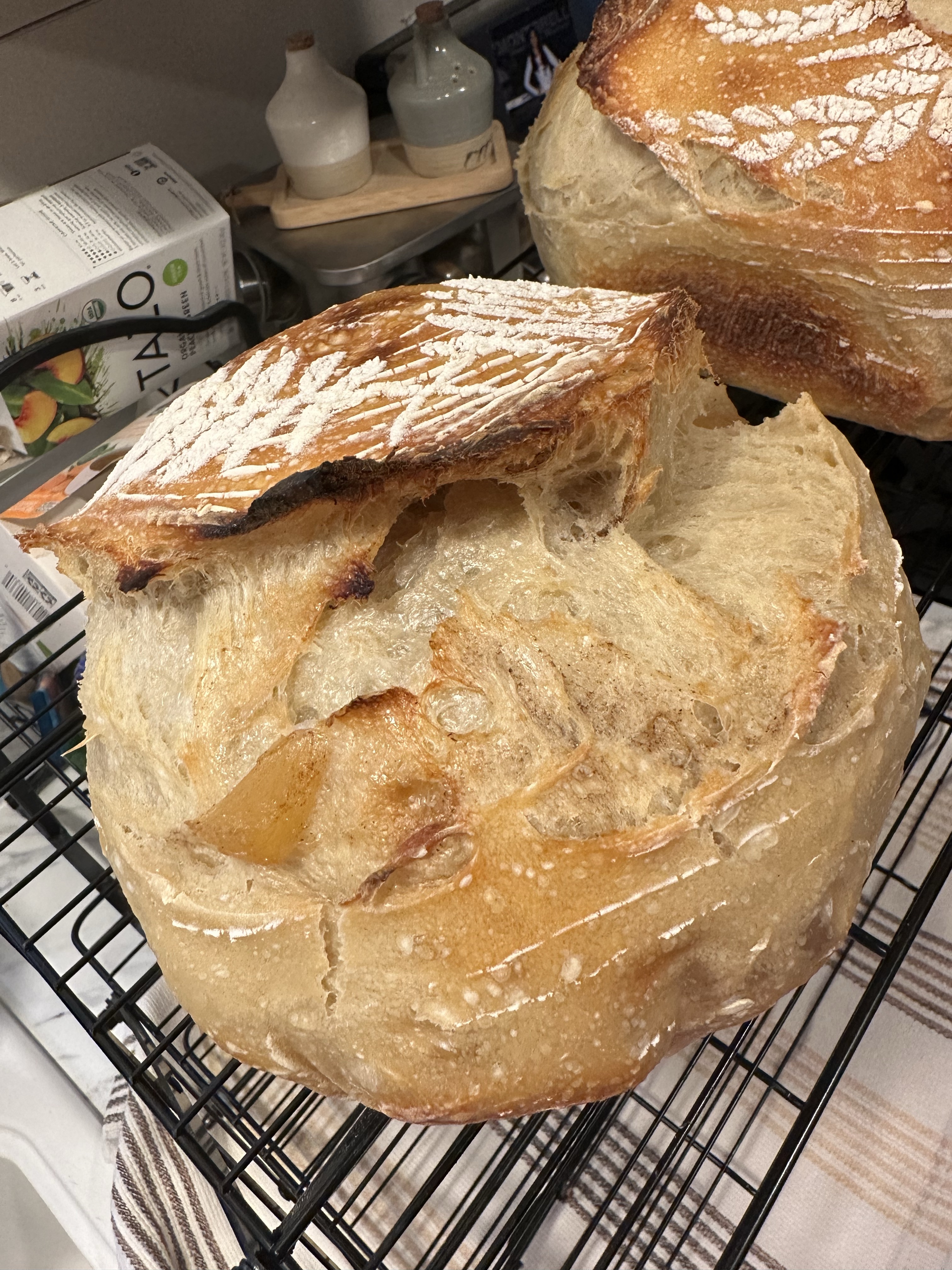 Apple Cinnamon Sourdough Bread 