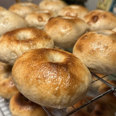 6 Plain Bagels