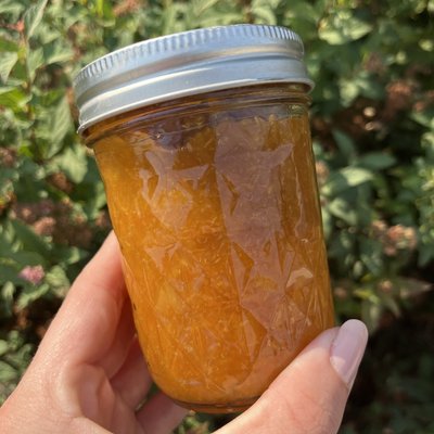 Apricot Jam