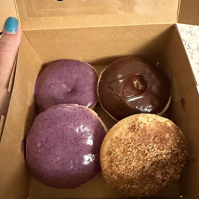 Sourdough Donuts
