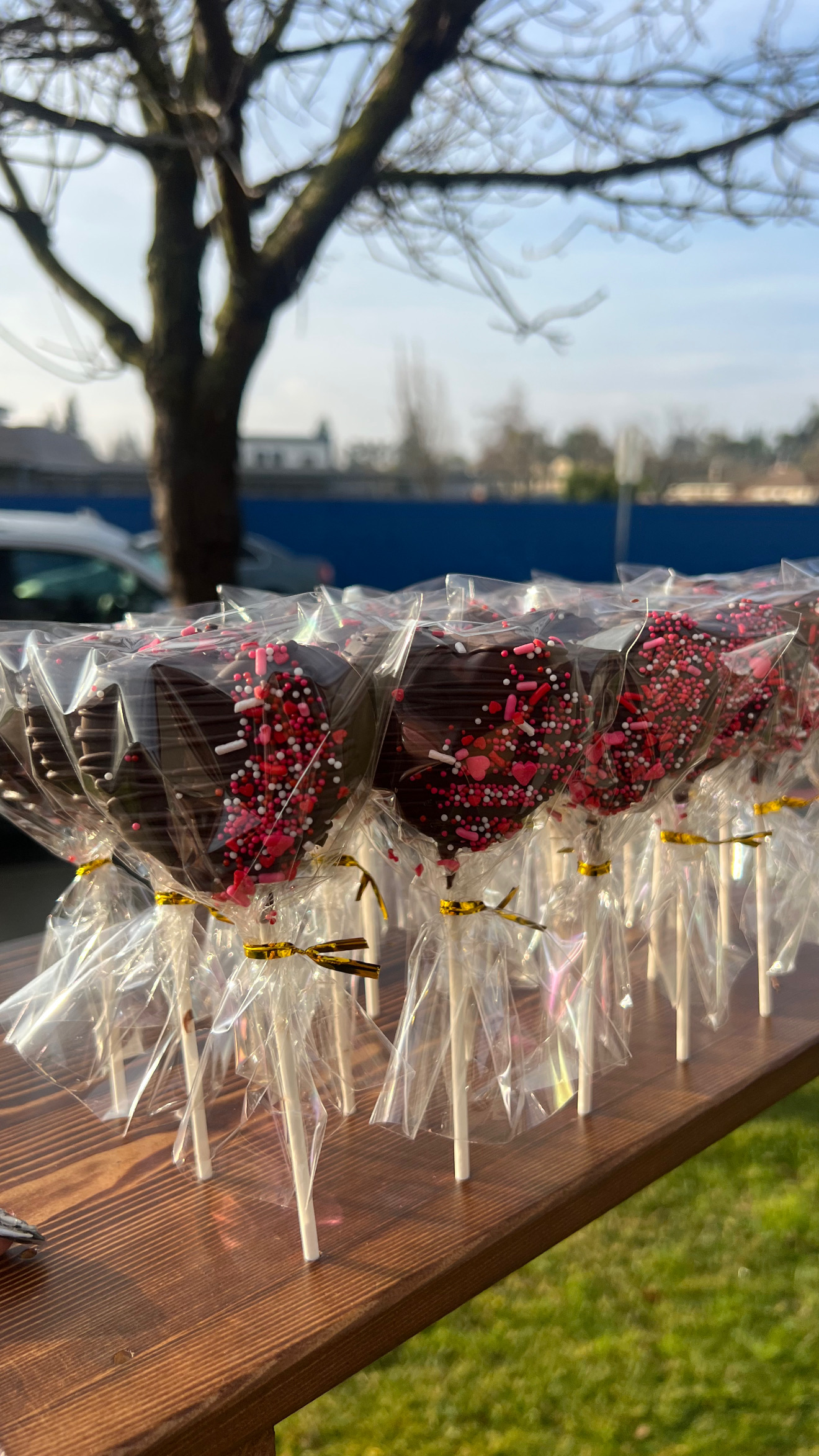 Vaentines Day Heart Cakepops 