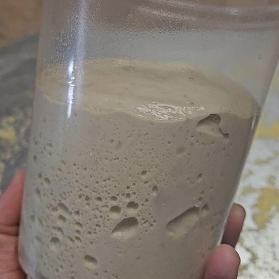 Sourdough Pizza Dough