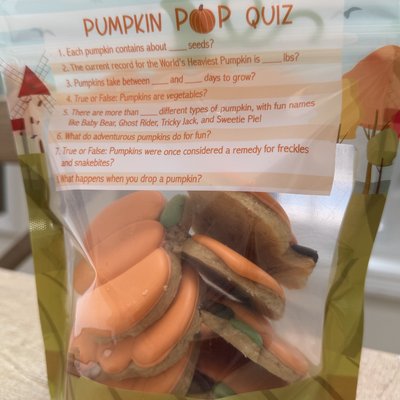 Pumpkin Patch Mini Cookie Pouch