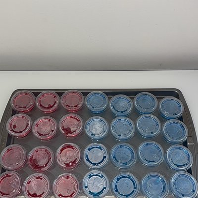 Infused Jell-O Shots (14)