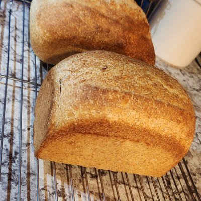 Honey Wheat Sandwich Loaf 